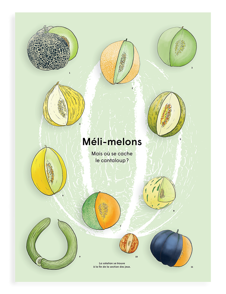 Numéro 2, Le cantaloup