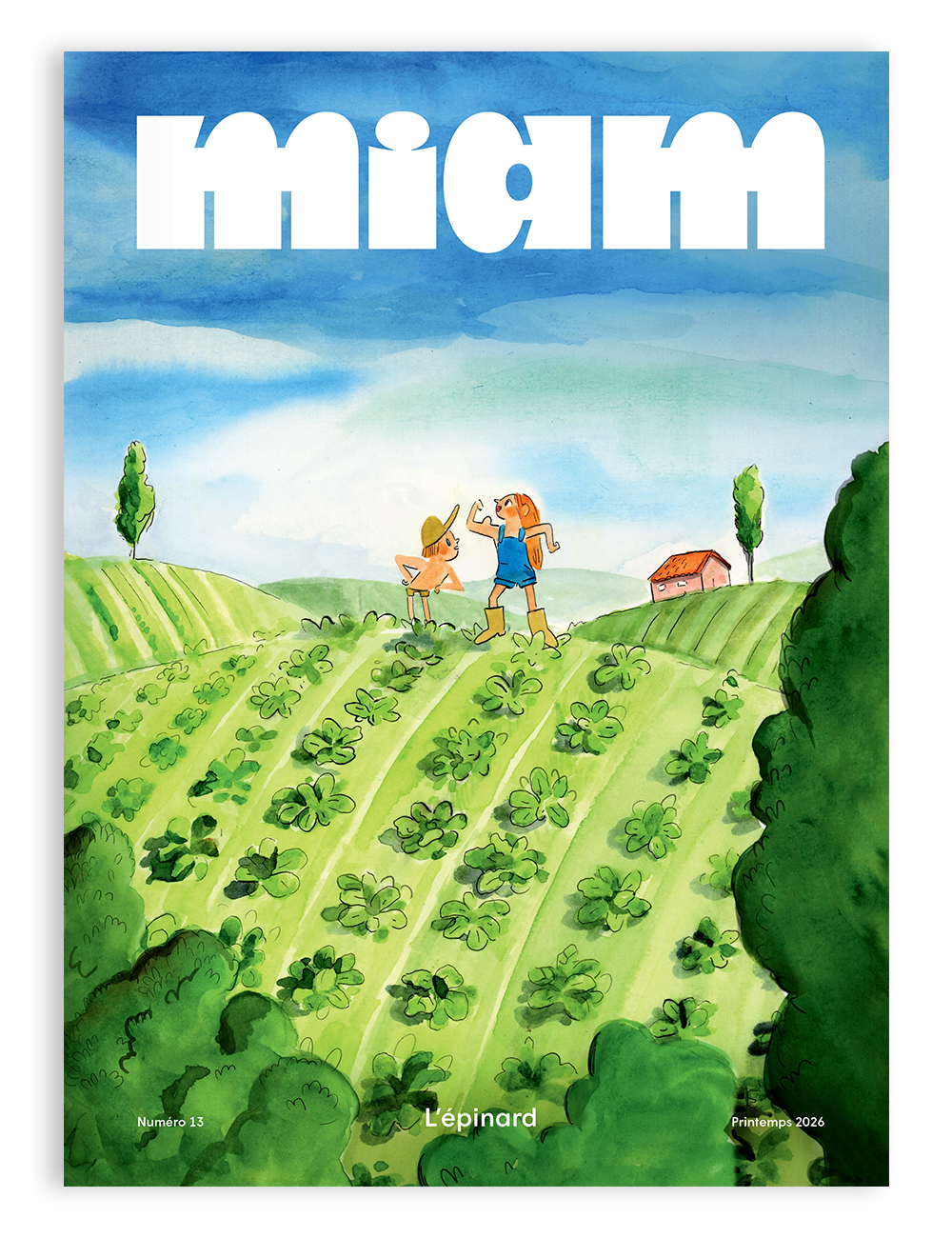 Numéro 13, L'épinard