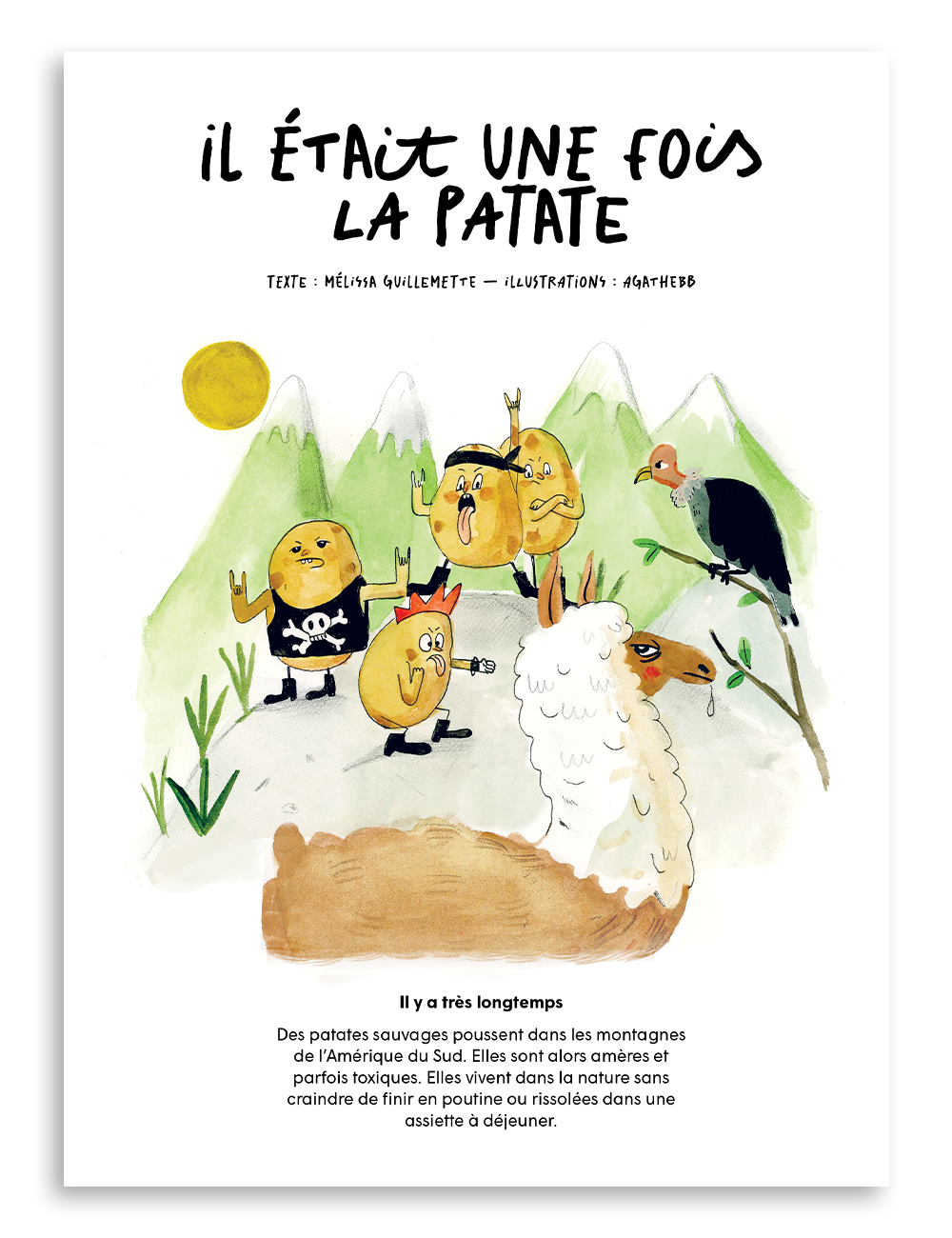 Numéro 4, La patate