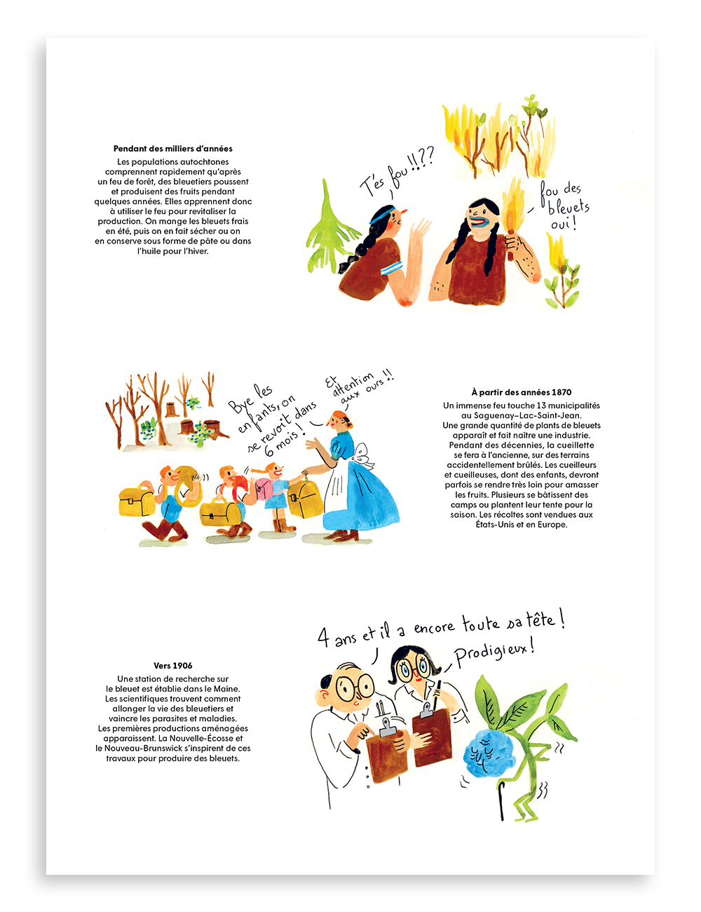 Numéro 6, Le bleuet