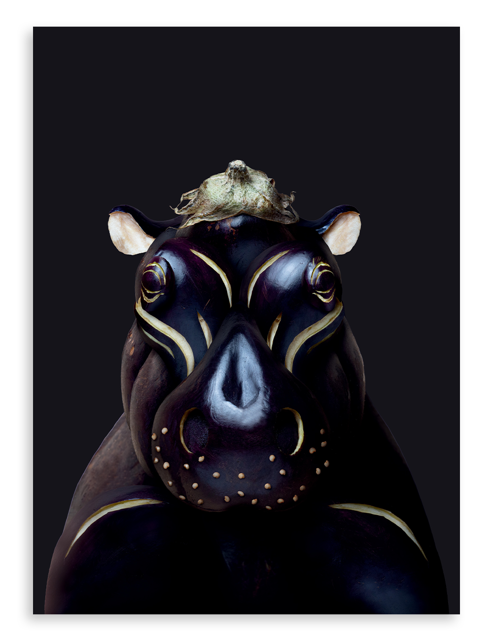 Numéro 11, L'aubergine