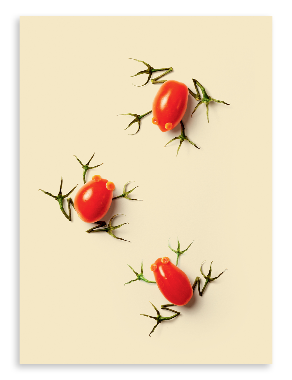 Grenouilles sculptées dans des tomates cerises, photo de Raku Inoue, magazine Miam no 14