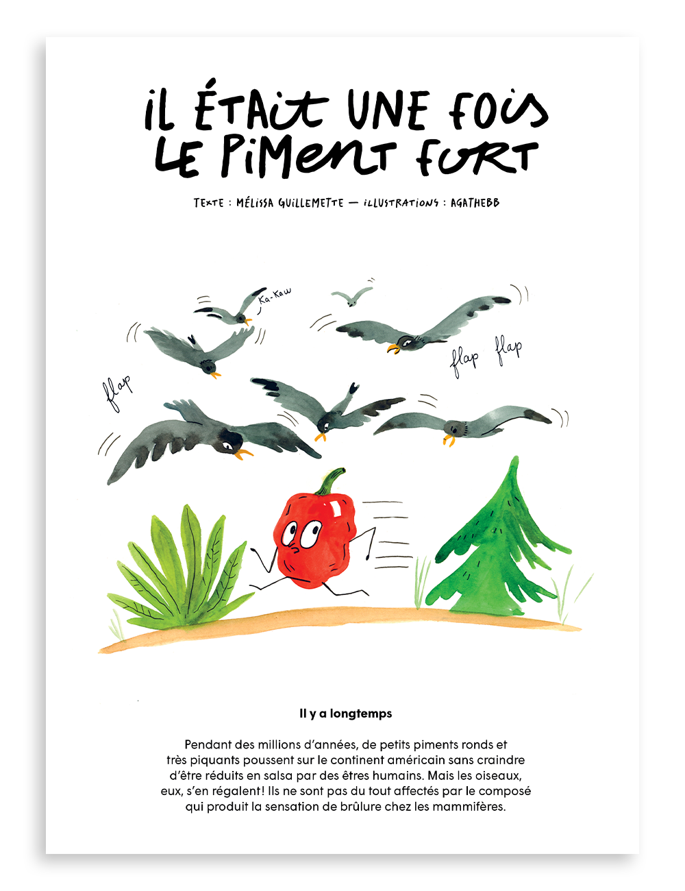 Numéro 7, Le jalapeño